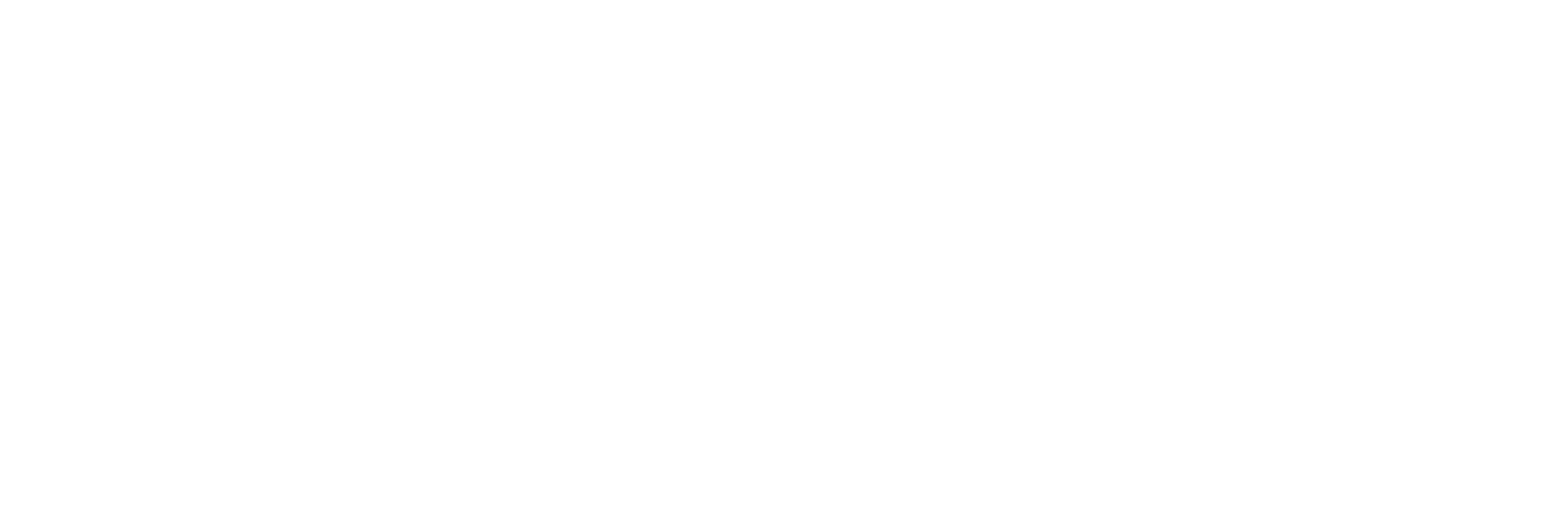 Bideon Logo
